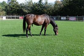 LR-WRF 10182025 Retreat-6561